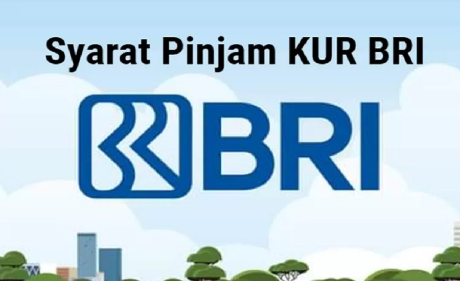 KUR BRI 2023: Bunga Rendah Plafon Rp 300 juta, Ini Syaratnya, Dijamin Auto Cair!