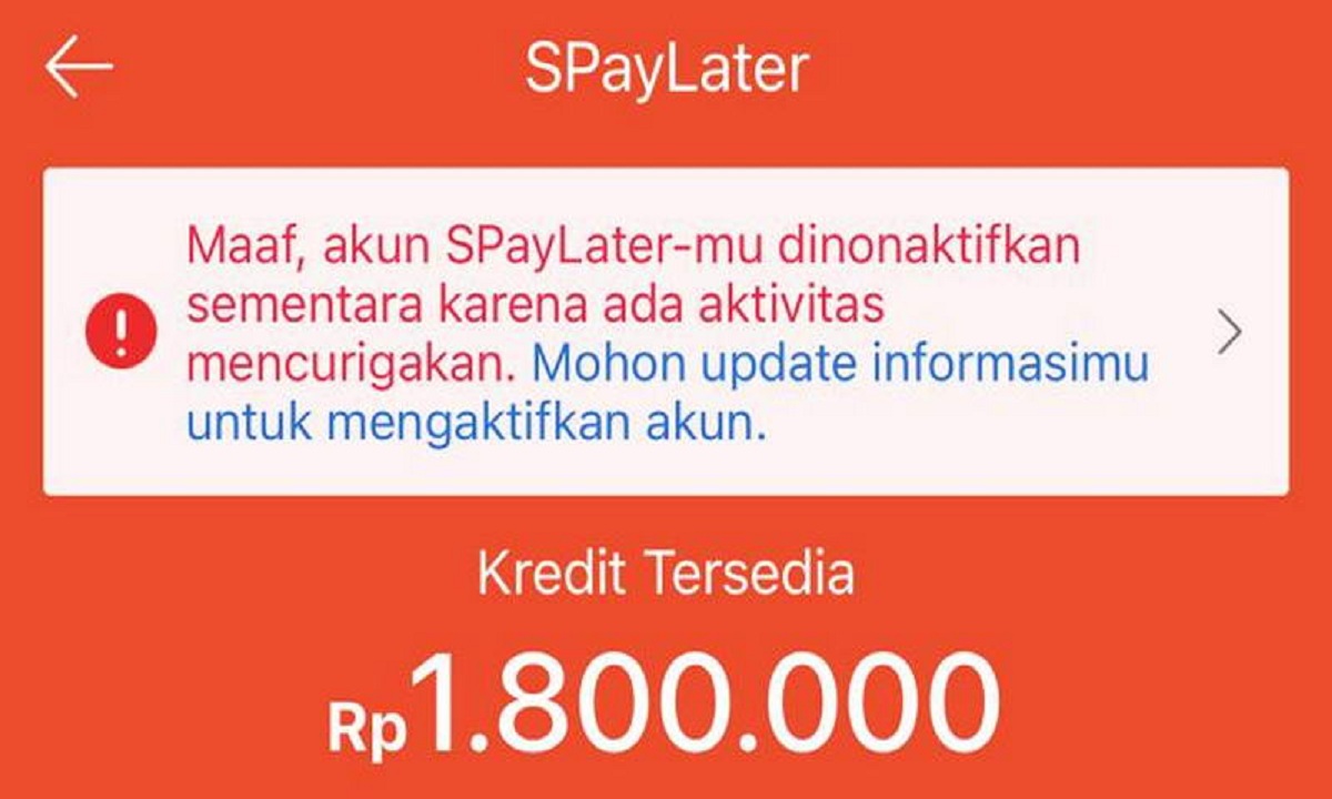 Ikuti Tata Cara Mudah Verifikasi Shopee Paylater yang Gagal!