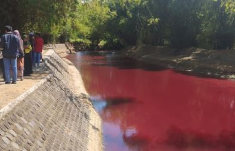 Air Sungai Berubah Warna Jadi merah, Enam Perajin Batik Diperiksa Terkait Pencemaran Sungai di Pamekasan, Jawa Timur