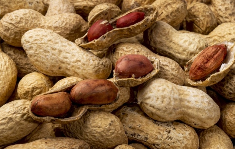 Ini Manfaat Kesehatan Konsumsi Kacang Tanah