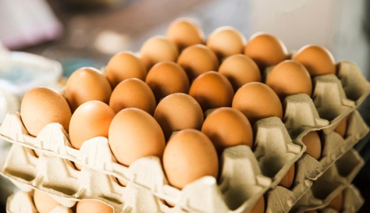 Begini Ciri-ciri Telur Ayam Busuk yang Mudah Dipahami