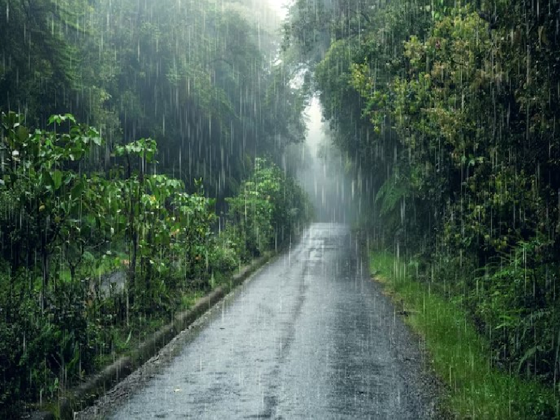6 Cara Merawat Tanaman Agar Tetap Subur Saat Musim Hujan, Awas Serangan Cacing!