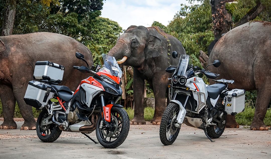Nikmati Sensasi Riding di Taman Safari Indonesia Pakai Motor Ducati