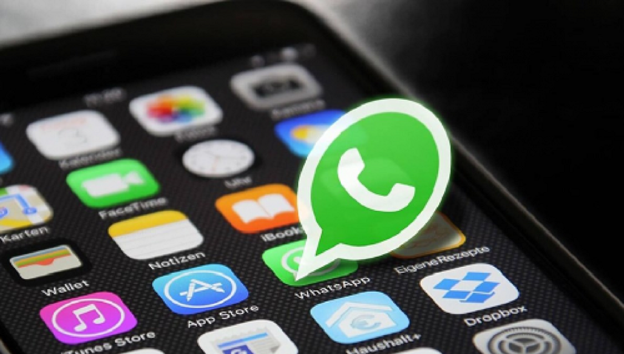 WhatsApp Sekarang Bisa Repost Status Lho, Begini Caranya