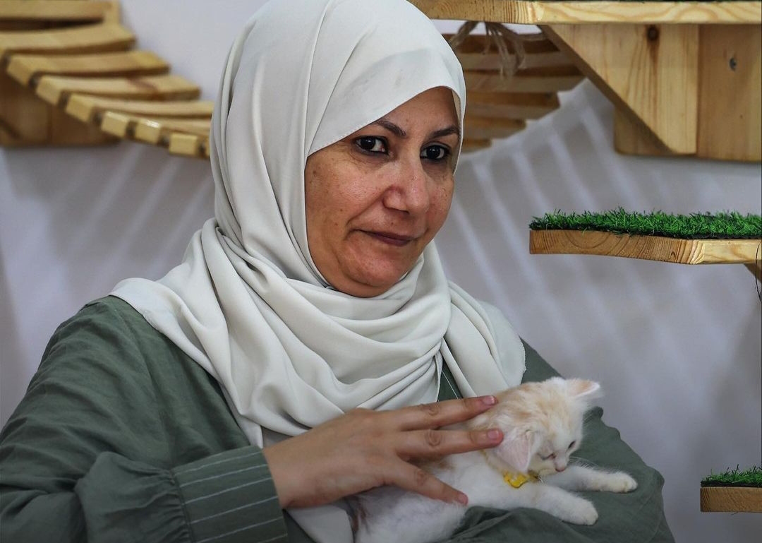 Meow Cafe di Gaza: Tempat Nongkrong Seru Bersama Kucing untuk Meredakan Stres