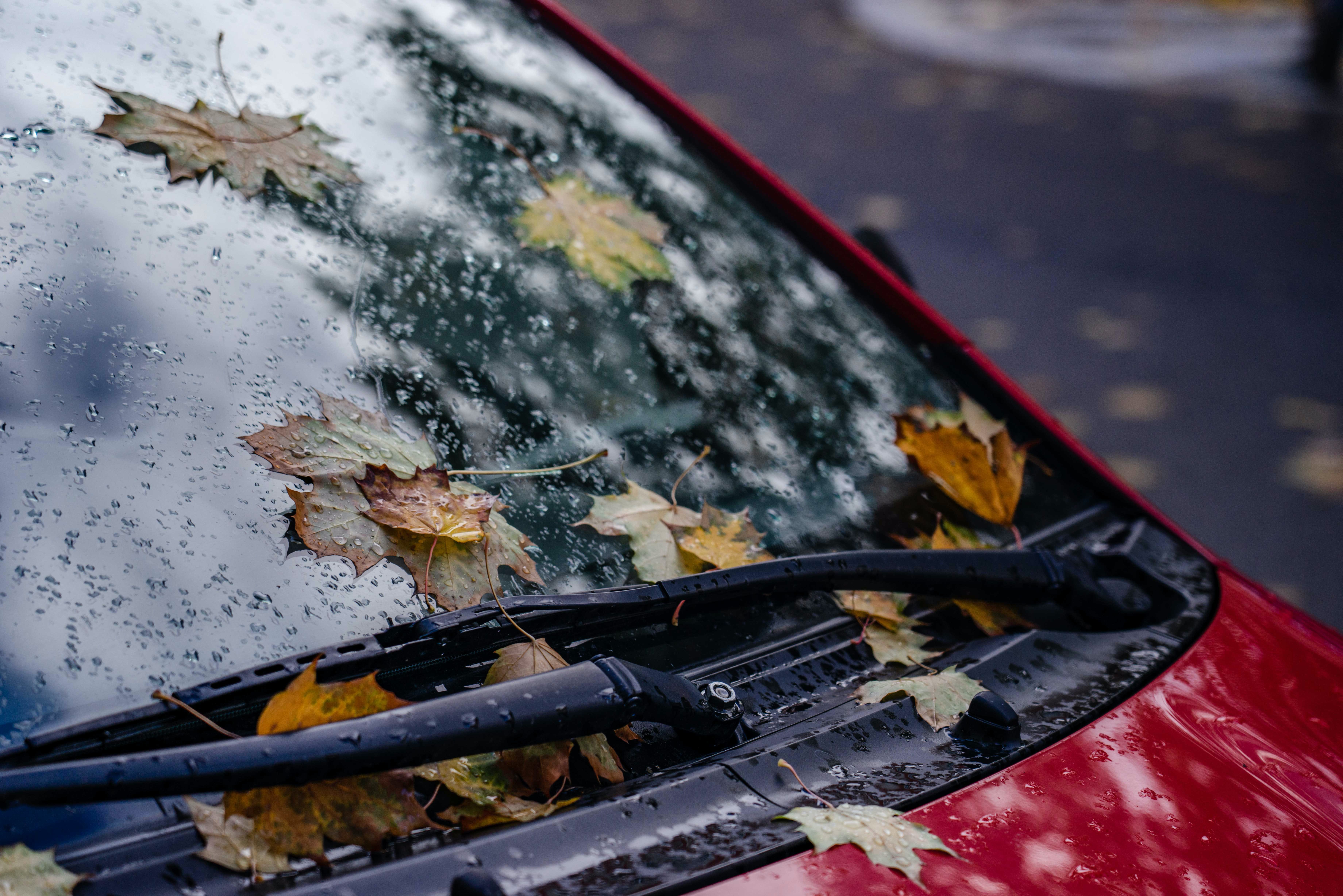Tips Menjaga Wiper Mobil untuk Menghadapi Hujan Deras