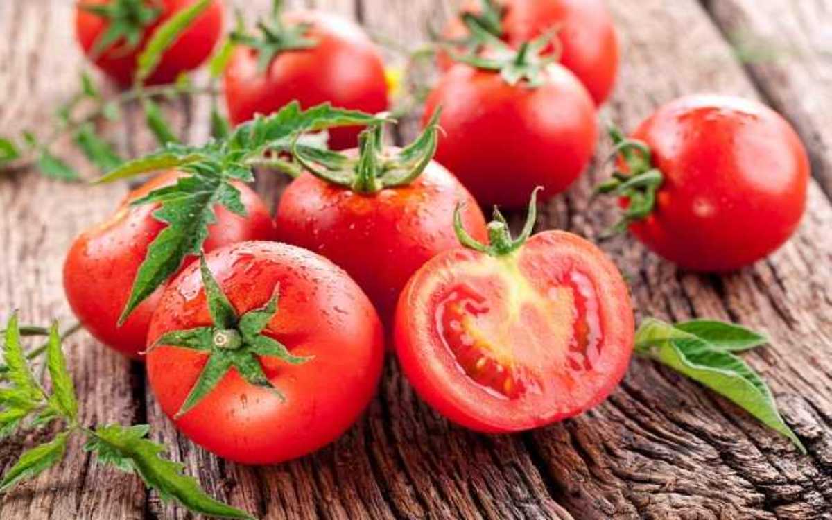 Rahasia Buah Tomat yang Dipercaya Bisa Bantu Cepat Menurunkan Berat Badan