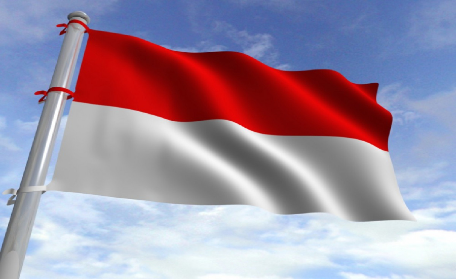 Bendera Indonesia Terbalik di Pembukaan SEA Games 2023 Kamboja, Sengaja atau Tak Tahu?