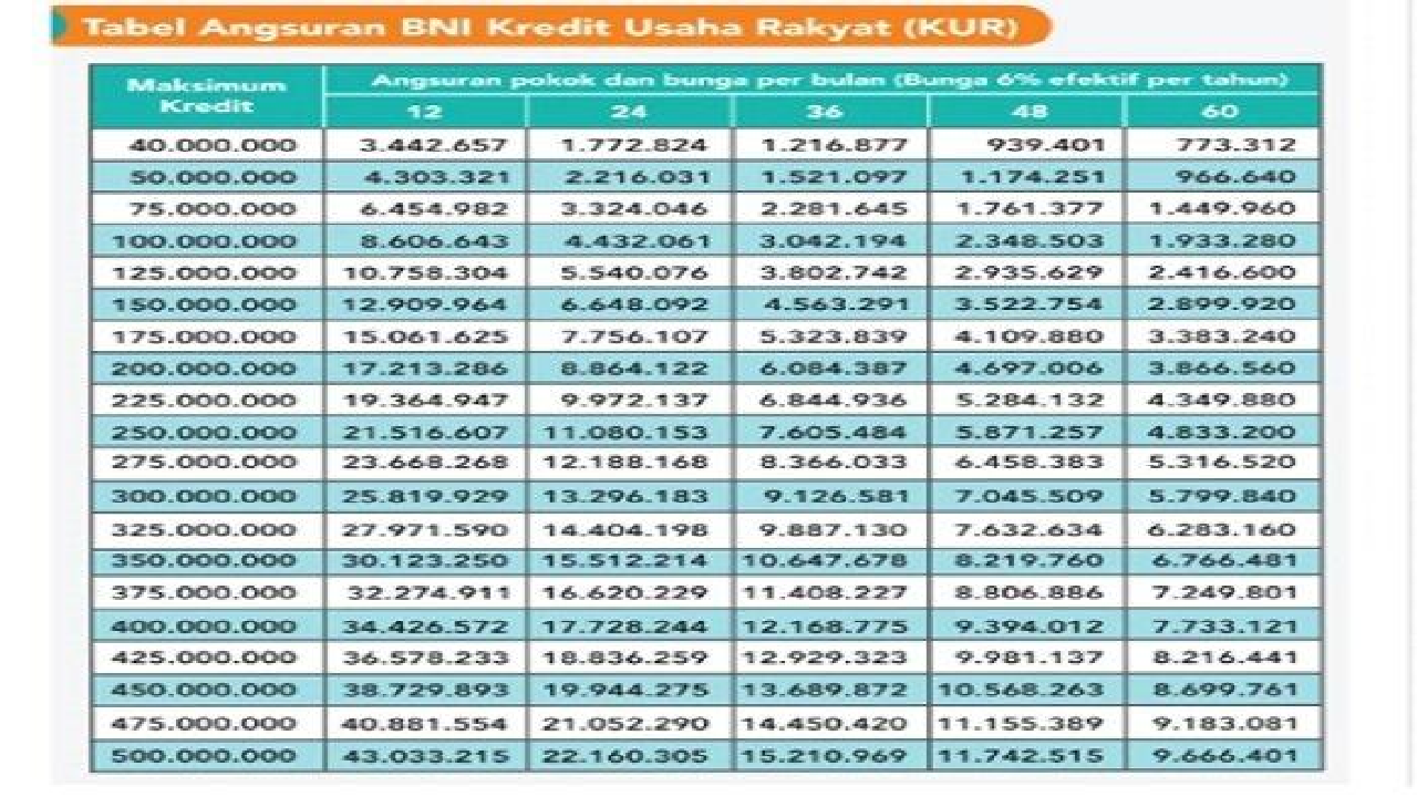 Tips Ajukan KUR BNI 2024, Bisa Dicicil Sampai 5 Tahun Dengan Plafon Hingga Rp 500 Juta