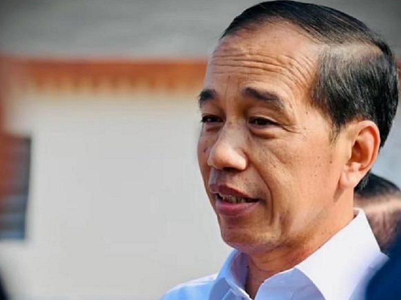 Jokowi Tanggapi Santai Sebutan 'Kasar' Rocky Gerung: Saya Kerja Saja