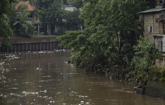 Tercemar Limbah, Banyak Ikan Mati di Aliran Kali Baru Jakarta Timur