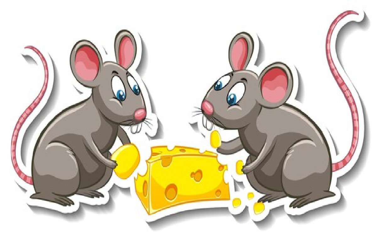 8 Bahan Alami yang Mampu Usir Tikus Pengganggu di Rumah, Anti Bau!