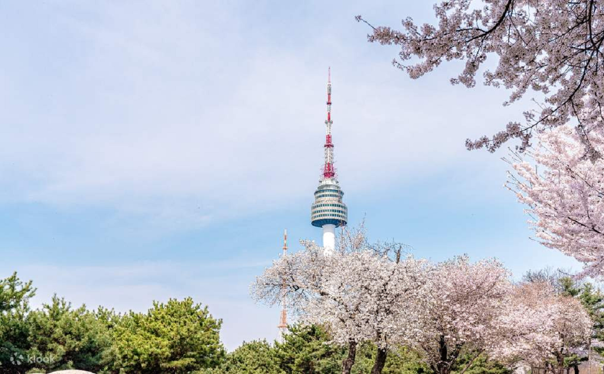 Viral TikToker Indonesia Bagikan Pengalaman Culture Shock di Korea Selatan, Tarik Perhatian Netizen