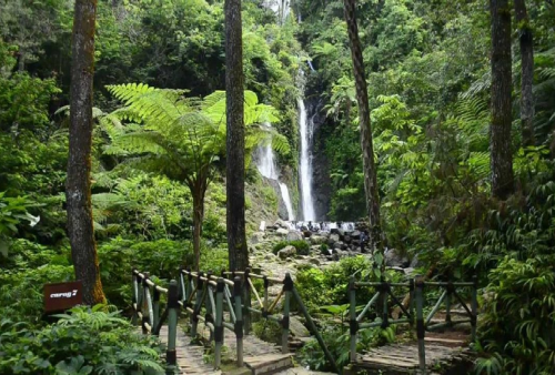 4 Rekomendasi Wisata Alam di Bogor, Cocok Buat Healing Hilangkan Pening!