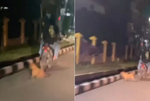 Dua Pria Ditangkap karena Menyeret Anjing dengan Sepeda Motor di Kota Jambi