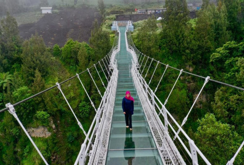 Jembatan Kaca Bromo Diklaim Aman Daripada Jembatan Kaca Banyumas, DISPORAPAR: Sudah Uji Kelayakan 