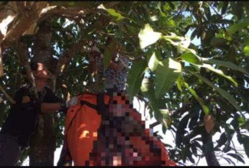 Tragedi Bunuh Diri di Banjar, Pria Ditemukan Tergantung di Pohon