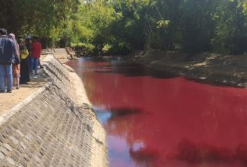 Air Sungai Berubah Warna Jadi merah, Enam Perajin Batik Diperiksa Terkait Pencemaran Sungai di Pamekasan, Jawa Timur