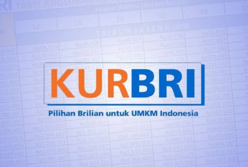 KUR BRI 2025 Segera Dibuka, Ini Dia Dokumen Pengajuan yang Diperlukan