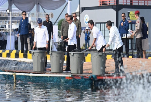 Jokowi Mampir ke Karawang, Resmikan Modeling Kawasan Tambak Budi Daya Ikan Nila Salin