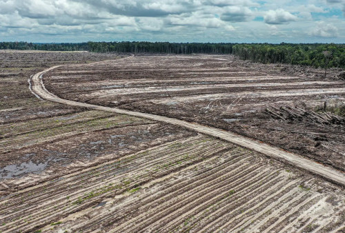 Reaksi Prabowo Ketika Proyek Food Estate Disebut Merusak Lingkungan