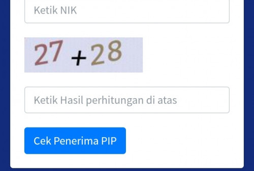 SIMAK Cara Cek Online Penerima BLT PIP Kemdikbud 2023 pakai NISN dan KTP melalui situs pip.kemdikbud.go.id.