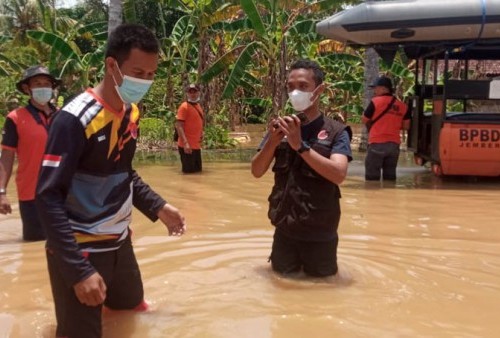Kabupaten Jember Dikepung Banjir, 953 Rumah Terendam  