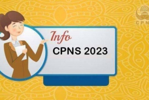 CATAT! Info Terbaru CPNS 2023 Jumlah Formasi Terbatas Pada Jabatan Tertentu, Ada Formasi Disabilitas 