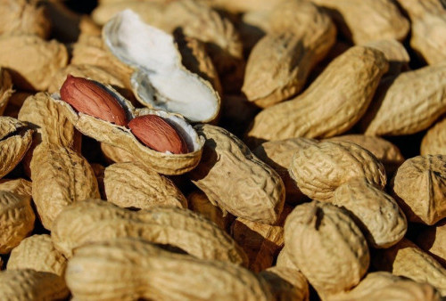 Mitos atau Fakta, Makan Kacang Bisa Bikin Jerawatan? Cek Faktanya di Sini