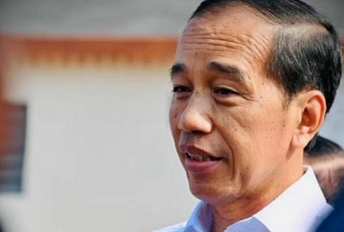 Jokowi Tanggapi Santai Sebutan 'Kasar' Rocky Gerung: Saya Kerja Saja