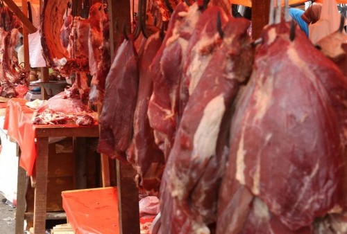 20 Ribu Ton Daging Kerbau Impor dari India Penuhi Kebutuhan Ramadhan