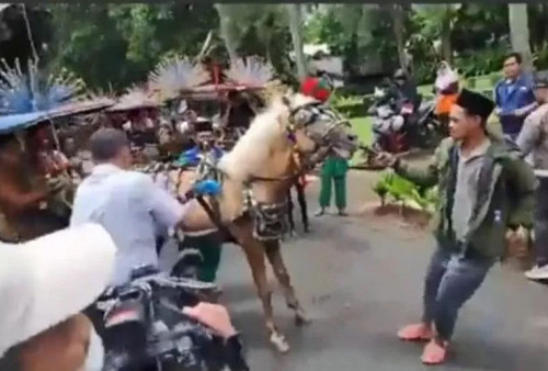 Demokrat dan PKS Kompak Bela Anies Baswedan dari Peristiwa Mundurnya Kuda Delman