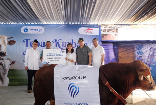 FIFGROUP Tebar 3 Sapi dan 453 Kambing ke Berbagai Penjuru Negeri