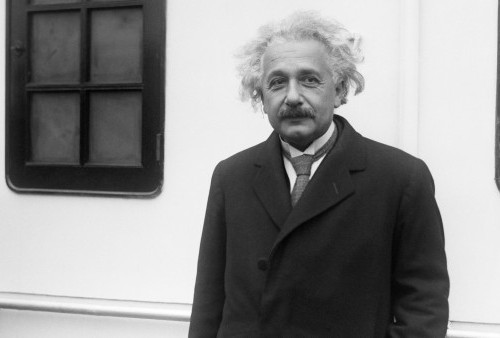 WOW Otak Einstein Dijual Tak Sampai Rp2.000 Perak, Ramai Diburu di Marketplace Tiongkok