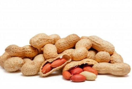 Mitos Atau Fakta, Makan Kacang Bikin Muka Berjerawat?