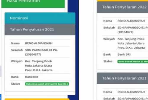 Mudah! Berikut Cara Daftarkan Diri Untuk Mendapatkan KIP dan PIP Tahun 2024