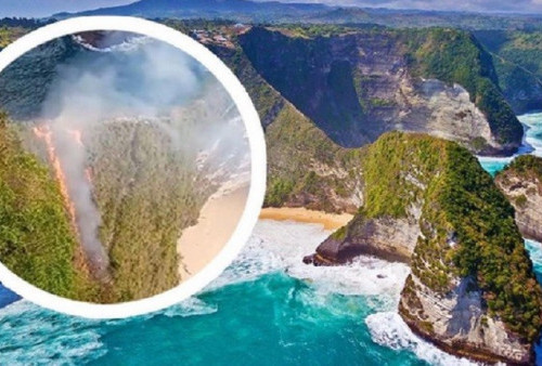 Peringatan bagi Wisatawan dan Pentingnya Kebersihan Lingkungan! Pantai Kelingking, Nusa Penida Bali Kebakaran Gara-Gara Puntung Rokok