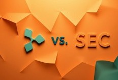 Kasus Ripple vs SEC Terus Berlanjut: Apa Penyebab Konflik Ini Tak Kunjung Usai?