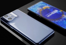 Rekomendasi HP OPPO Terbaru 2024, Harga Mulai Rp1 Jutaan Saja