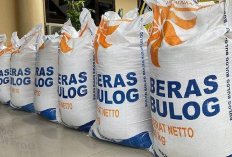 Kabar Bahagia! Bansos Beras 10 Kg Bersiap Turun November 2024, Catat Tanggal dan Jamnya