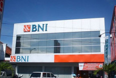 Viral Karyawan BNI Diduga Dikeluarkan Saat Cuti Hamil, Pihak Bank Beri Konfirmasi: Jadi...