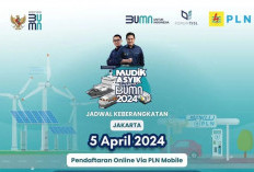 Yuk Simak Cara Daftar Mudik Gratis di Aplikasi PLN Mobile