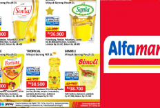 Promo Alfamart Spesial Hari Ini: Sania Minyak Goreng Puch 2L Rp36.900!