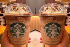 Ternyata Ini yang Buat Minuman Starbucks Harganya Mahal!