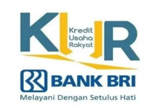 4 Tips Agar Pengajuan KUR Bank BRI Bisa Cepat Cair