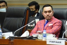 Ahmad Sahroni: Kita Jadi  Tahu Siapa Sebenarnya Mafia Minyak Goreng Itu