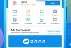 Klik Linknya, Dapatkan Saldo Gratis DANA Kaget Kamis 19 Desember 2024 Berhadiah Rp 299.000