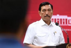 Luhut Ajak Geely Bikin Mobil Listrik Buatan Indonesia