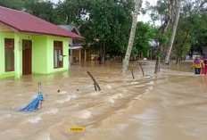 Banjir di Aceh Timur, Sebanyak  2.751 Warga Terpaksa Mengungsi, Warga Diminta Tetap Waspada Potensi Banjir Susulan di 2 Bulan ini