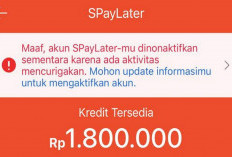 Ikuti Tata Cara Mudah Verifikasi Shopee Paylater yang Gagal!